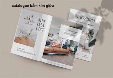 In catalogue lấy liền Bình Dương