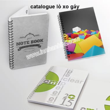 In catalogue lấy liền Bình Dương