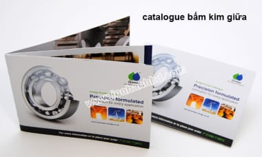 In catalogue lấy liền Bình Dương