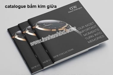 In catalogue lấy liền Bình Dương