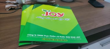 In catalogue lấy liền Bình Dương