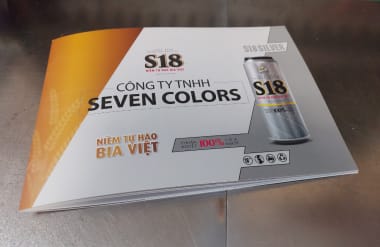 In catalogue lấy liền Bình Dương