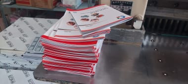 In pfofile lấy liền Bình Dương