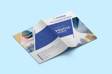 In pfofile lấy liền Bình Dương